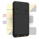 Ingenico EX6000 
