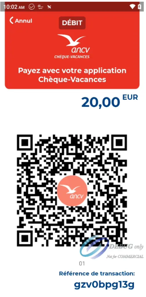 transaction_tpe_pax_ancv_chaques_vacances.webp