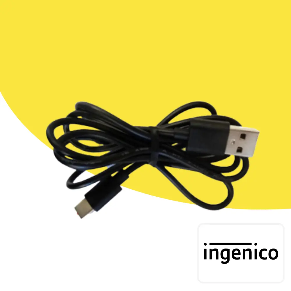 Câble d'alimentation Ingenico AXIUM USBA/USBC