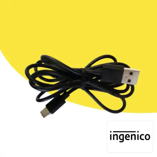 [CLI040230] Câble d'alimentation Ingenico AXIUM USBA/USBC